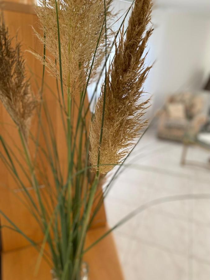 Apartment Traumzeit 萨勒河畔巴特诺伊施塔特 外观 照片
