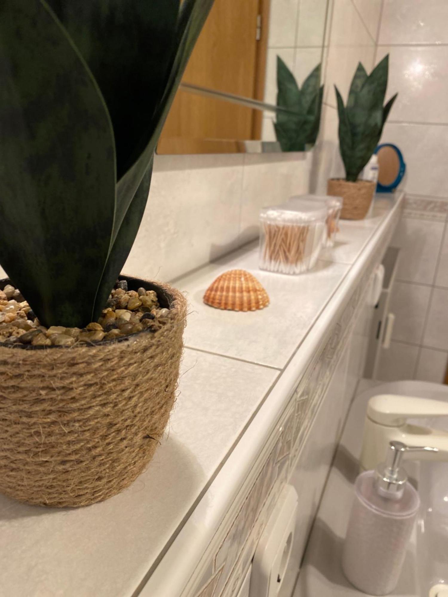 Apartment Traumzeit 萨勒河畔巴特诺伊施塔特 外观 照片